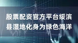股票配资官方平台绥滨县湿地化身为绿色海洋