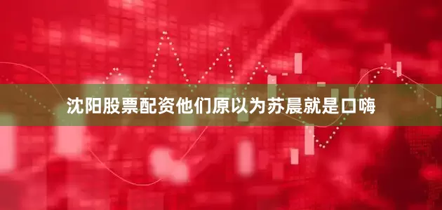 沈阳股票配资他们原以为苏晨就是口嗨