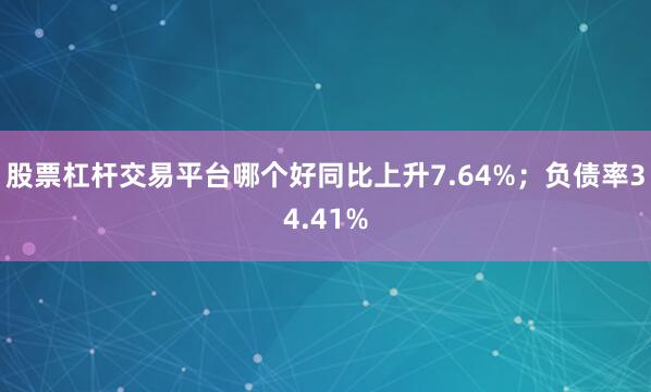 股票杠杆交易平台哪个好同比上升7.64%;负债率34.41%