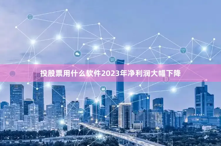 投股票用什么软件2023年净利润大幅下降